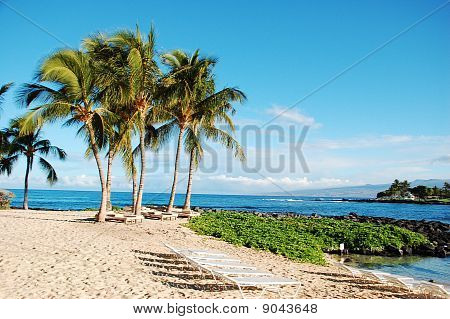 Beach resort