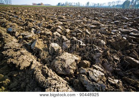 the freshly picked field of a farmer. fieldwork in the fall