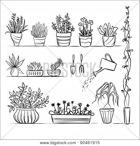 Pot plants and tools sketch