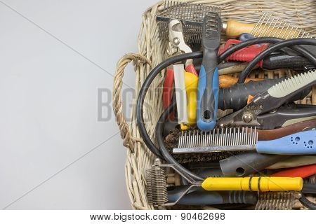 Used Tools For A Dog Grooming In Right Side Of The Photo
