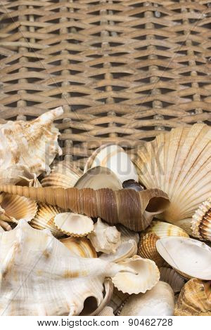 Seashells N The Lower Side Of Wicker Baket. Vertically.