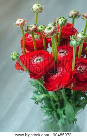 Colorful red bouquet of flowers ranunculus spring on vase