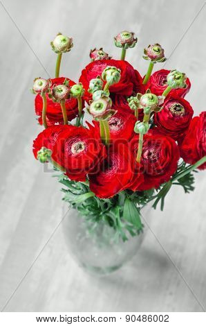 Colorful red bouquet of flowers ranunculus spring on vase