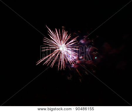 Celebration Firework In The Black Night Sky