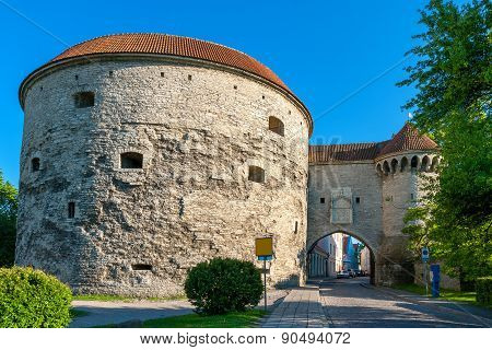 Fat Margaret Tower. Tallinn, Estonia