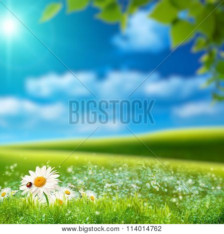 Dreamy natural landscape with green hills under blue skies. Abstract seasonal backgrounds