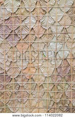 Pattern Of A Dry Leaf Wall
