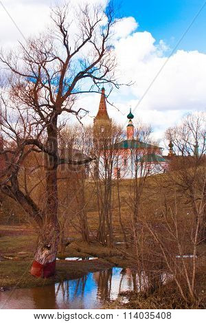 spring landscape with chirches and trees