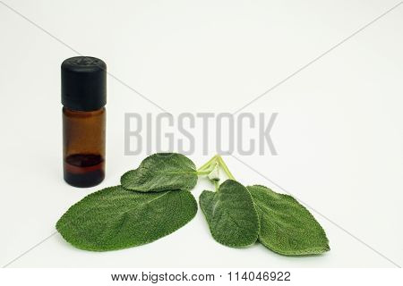 Aromatherapy sage oil