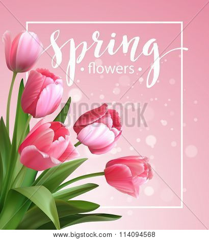 Spring text with  tulip flower. Vector illustration