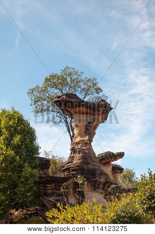 Sao Chaliang Landscape, Amazing Natural Of Rock