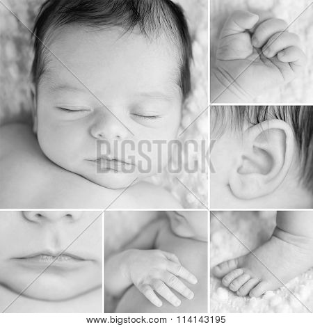 B&w Macro Shots Of A Newborn Baby Boy