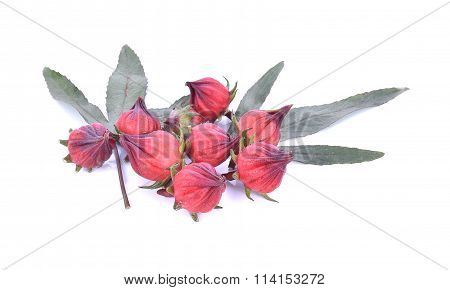 Red Roselle Fruits on white background