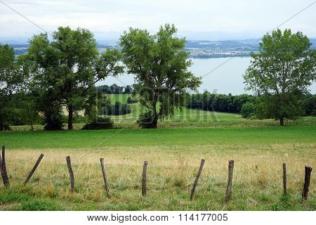 Lake Morat