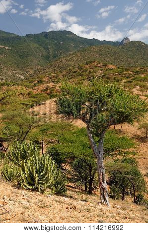 Village Of South Horr Is Set In A Verdant Canyon Surrounded By Dramatic Mountain Peaks