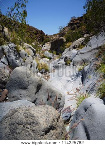 Canyon In A Volcanic Rock At Tenerife