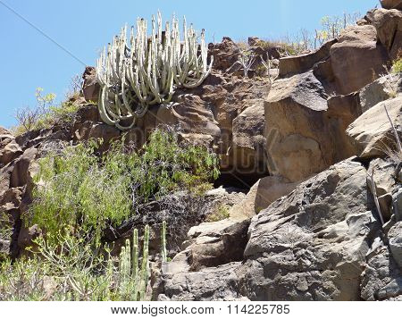 Canyon In A Volcanic Rock At Tenerife