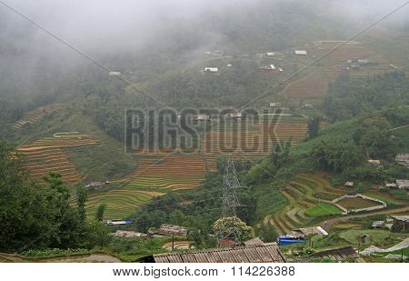 rice fields nearly Sa Pa town