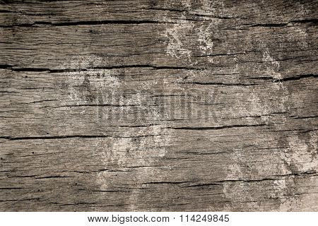 weathered wood