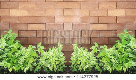 Brown Brick Wall Foully And Green Leaf.