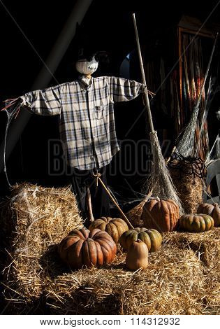 Scarecrow at a Pumpkin Farm