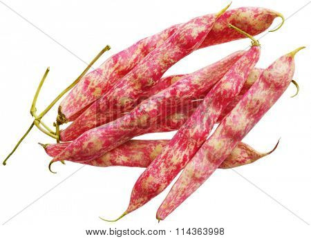 Group of cranberry beans isolated on white background