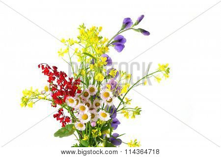 Bundle of tiny flowers isolated on white