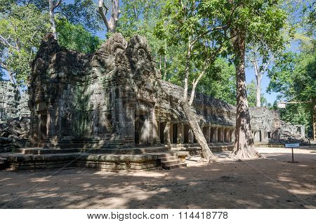 Ta Prohm Temple, Famous Temple In Siem Reap