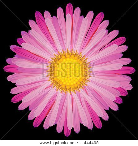 Soyut pembe Flower.eps