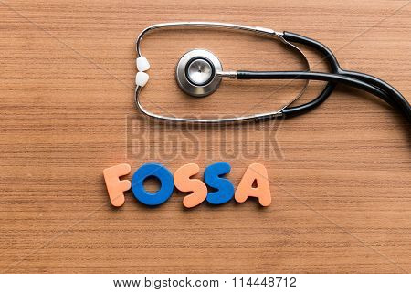 Fossa Colorful Word