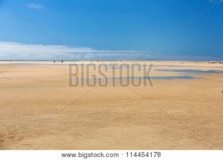 Beach Playa de Sotavento Canary Island Fuerteventura Spain