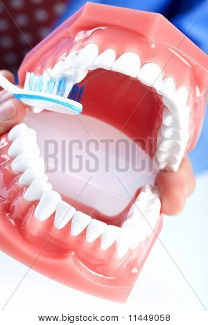 Dental malli ja Teethbrush