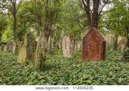Old Jewish Cemetery