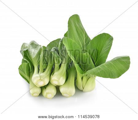 Bok Choy Vegetable On White Background