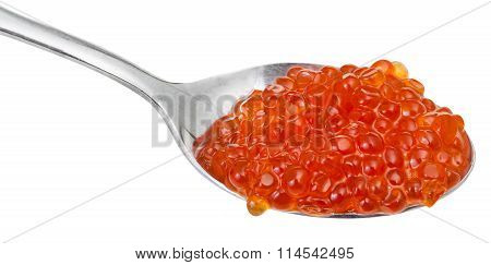 Red Caviar Of Sockeye Salmon Fish On Spoon