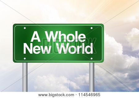 A Whole New World Green Road Sign, Business Concept