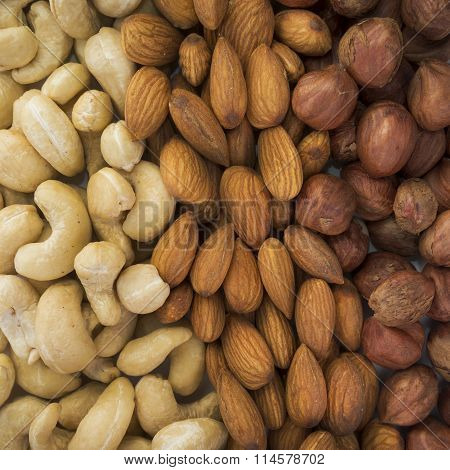 almonds, hazelnuts, cashews nuts mixed together