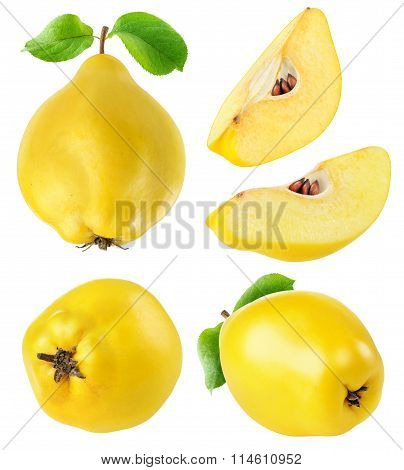 Quince Fruits Collection