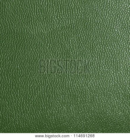 Dark green skin, streaked. Leather texture. Closeup
