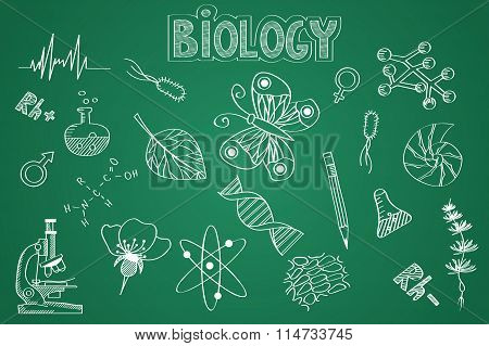 Hand drawn Biology set. Chalk on the blackboard