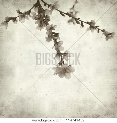 Textured Old Paper Background