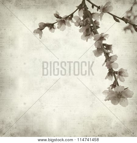 Textured Old Paper Background