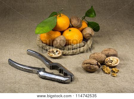 nuts and a nutcracker on a table