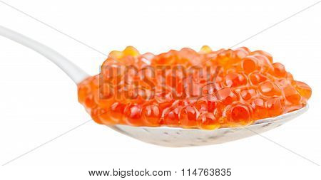 Side View Salty Sockeye Salmon Red Caviar On Spoon