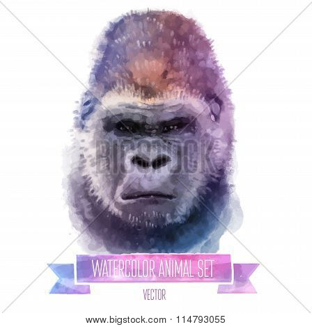 Vector set of watercolor illustrations. Cute monkey