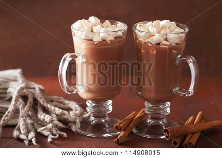 hot chocolate with mini marshmallows cinnamon winter drink