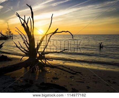 Sunset On The Gulf