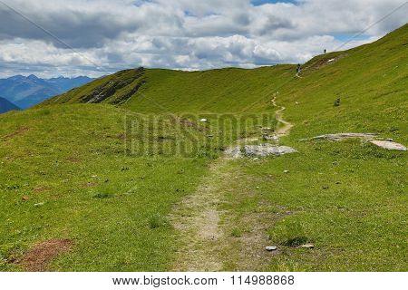 Alpine Summer Landscape