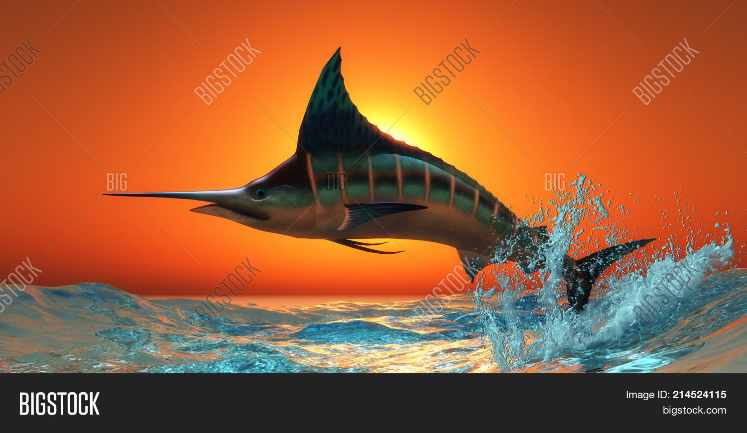 Atlantic Blue Marlin Image & Photo (Free Trial) | Bigstock