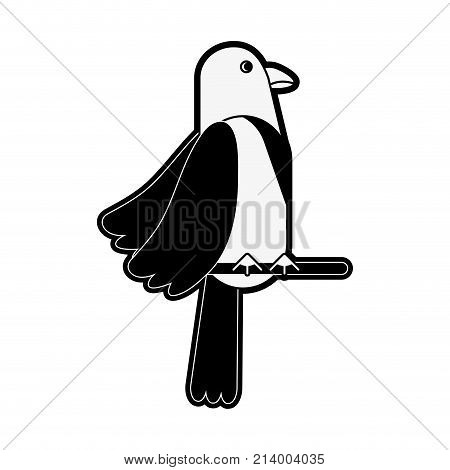 Tucan Bird Cartoon